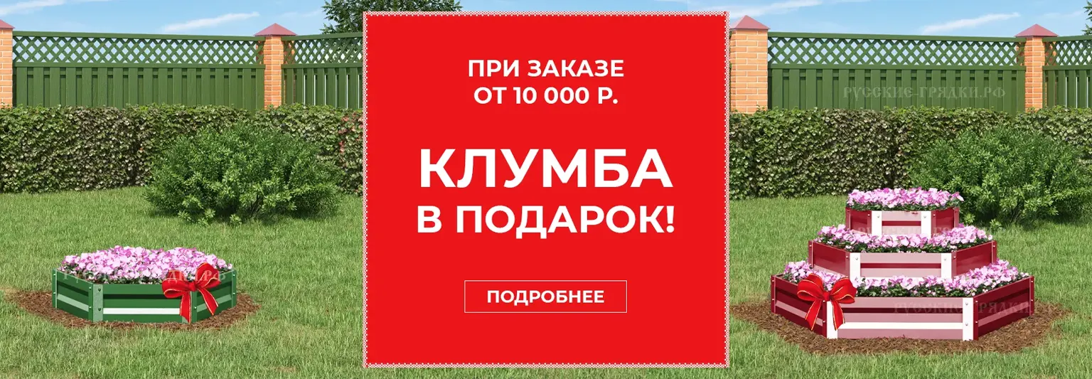 клумба
